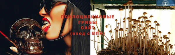 гидра Гатчина