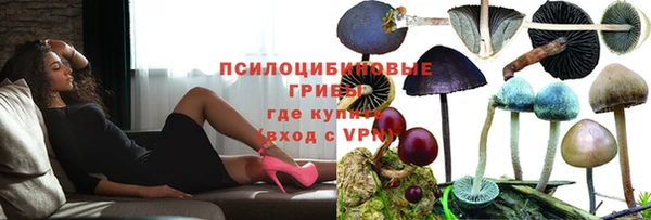 герыч Няндома