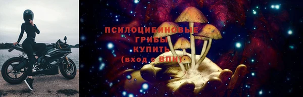 герыч Няндома