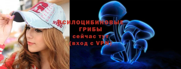 дмт Нягань