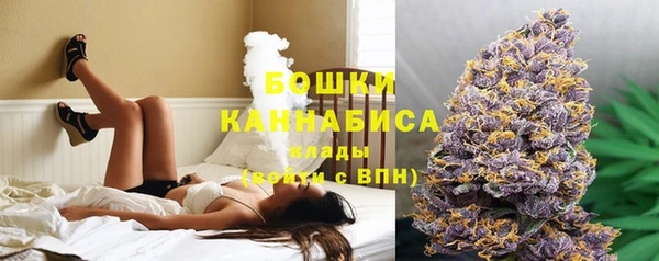 дмт Нягань