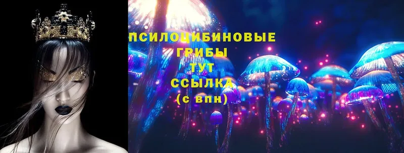 закладка  hydra ТОР  Галлюциногенные грибы Cubensis  Калязин 