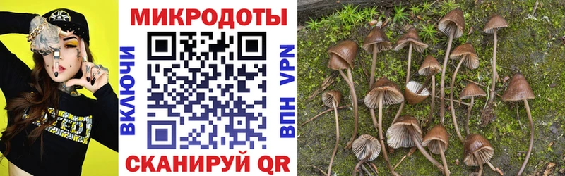 Псилоцибиновые грибы MAGIC MUSHROOMS  что такое   Калязин 